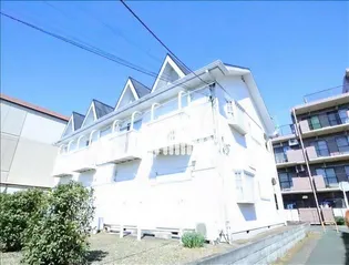 ハウスラベンダーの画像