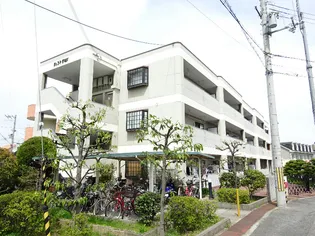 ジェントリーT M Yの画像