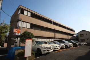 サンマルゴの画像