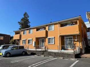 HAPPY DREAM 長泉Dの画像