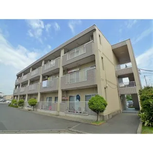 サンフローラルの画像