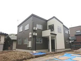 メイセ ティオの画像