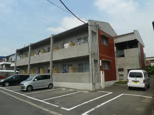 オークルMの画像