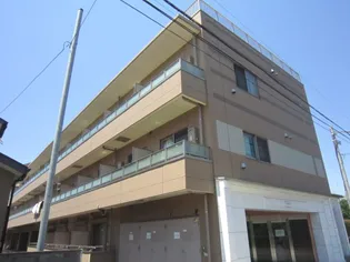 DOMUSの画像