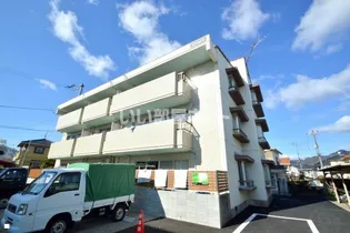 VIVACEの画像