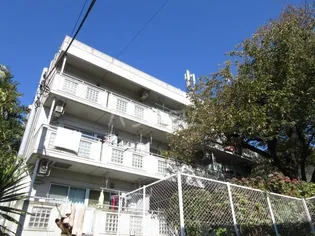 ステラ清水の画像