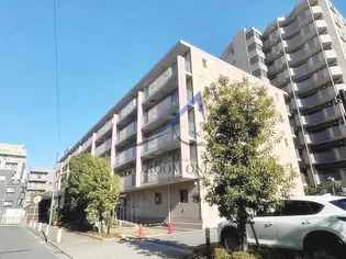セレリーオ ニッコーの画像