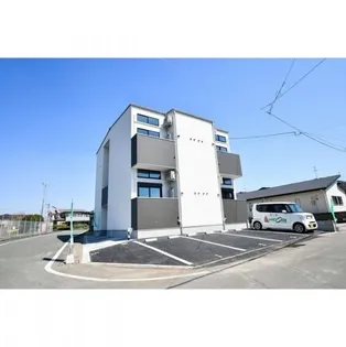 ステラ菊陽の画像