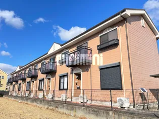 サザンクロスの画像