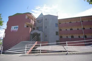 グリーンハートマンション【3階】の外観