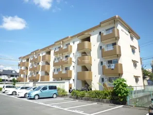 サントラストの画像