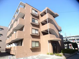 シャン フィーネの画像