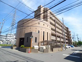 グレースナカミヤの画像