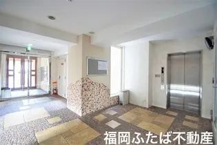 ルッシェ竹下駅前【7階】の外観