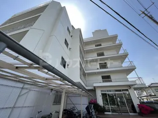 柏第一パブリックハイツの画像