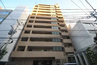 コートハウス槇【8階】の外観