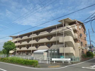 ルイボステー1の画像