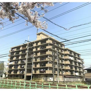 神奈川県相模原市緑区東橋本1【マンション】の外観