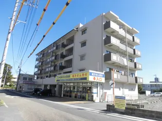 メゾン長良【4階】の外観