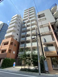 エルスタンザ駒形【7階】の外観