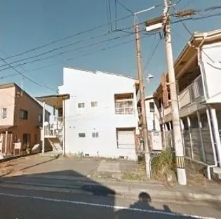 ピュアナカヌキの画像