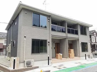 エヴァーグリーンDの画像