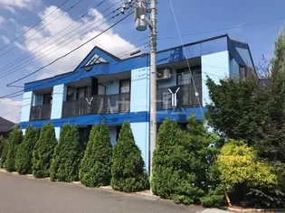 ルミエールの画像