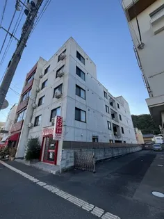 ピース ラ ヴェスタの画像