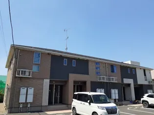 プリムローズBの画像