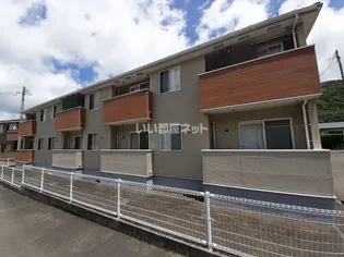 エアリーサンシャインIIBの画像