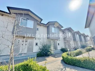 ホワイトフォレストの画像