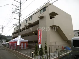 アベリアの画像