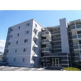 ブルーミングS&Cの画像