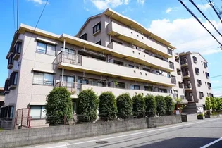 サンテレスIMの画像