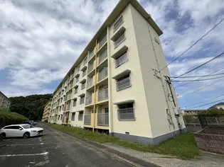 舞松原100棟の画像