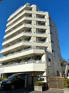 サイガプレザンの画像