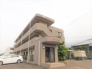 シトラスハーモニーの画像