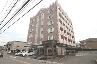 AMAZING HEARTの画像