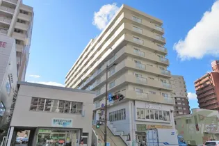 パシフィックマンション広瀬橋の画像