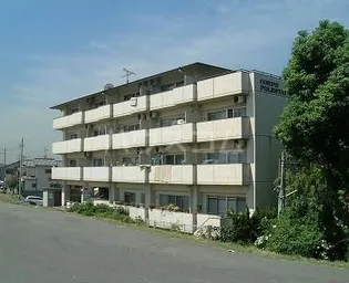 コーポポルスター【2階】の外観