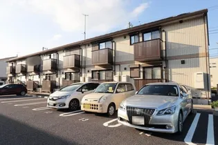 プエラリア サクラ Iの画像