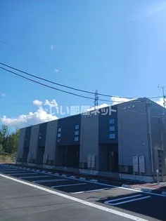 ルピナス Aの画像