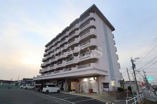 キャッスル西尾【6階】の外観