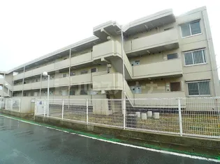 大金平ハイツの画像