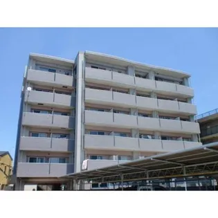 アプリコットステイツの画像