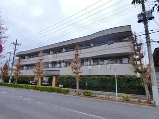 グレイトバレーの画像