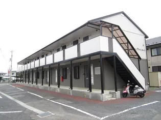 エヴァーグリーンコートAの画像