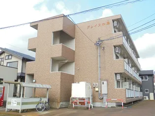 グレイス中島の画像