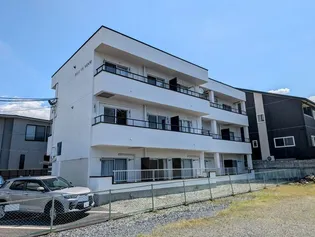 ベルビー緑の画像