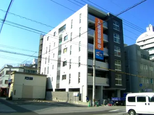 リジンフォースの画像